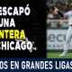 Resumen Cubanos en Grandes Ligas - 18 Ago 2021